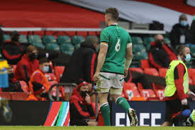 Retrouvez les meilleurs moments de la rencontre de la première journée du vi nations entre le pays de galles et l'irlande. Rugby Vi Nations Le Pays De Galles S Offre L Irlande D Entree