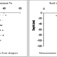 Commencer une partie de jeu de l'oie : Pdf Root Distribution In Young Chetoui Olive Trees Olea Europaea L And Agronomic Applications