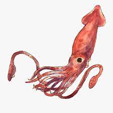 Download And Share Some Transparent Deep Sea Images Giant Squid Cartoon Seach More Similar Free Transparent Cliparts Carttons A Giant Squid Deep Sea Squid