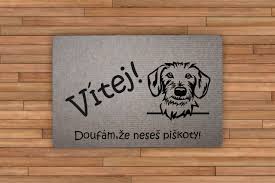 Image result for jezevčík drsnosrstý