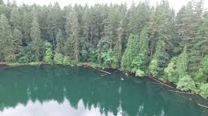 Consider things such as access and accommodation at the base of battle ground lake state park, as well as the logistics of climbing to the summit. Battle Ground Lake State Park Youtube