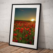 Sunset At Poppy Field Art Print by Danny Birrell Photography
