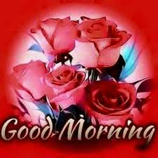Good Morning Sweetheart I Hope You Had A Good Night I Still Love You Just So You Know Lusm Good Morning Flowers Good Morning Animation Good Morning Wishes
