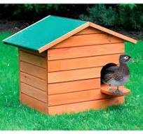Gallinero * De 59&*; Con 4 * Casa De Madera Para 2-6 Gallinas * De Corral  Exterior Con Techo Abatible Y Rampa