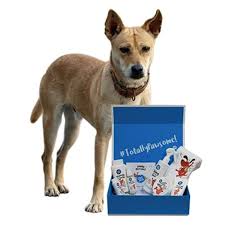Know the breed you're looking for? Buy Captain Zack The Indian Pariah Dog Indie Groom Box Online At Low Prices In India Amazon In
