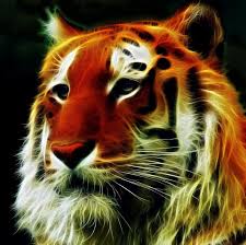 tiger by lashington tiere bilder 3 d bilder