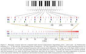 Entropy Based Tuning Of Musical Instruments