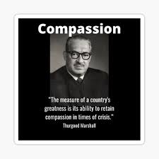Thurgood Marshall Black History Democracy Quote Sticker By Nextleveldrums1 Redbubble