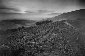 Resultado de imagen de ansel adams fotos