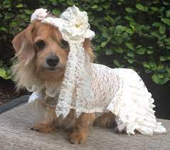 Dog Wedding Dress With Veil Dog Wedding Dress Wedding Dress Etsy Wedding Dress With Veil Dog Wedding Dress Modest Wedding Dresses