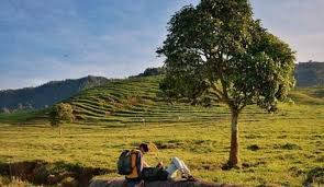 Lokasi wisata di kutai kartanegara memiliki alternatif yang beragam, mulai dari gunung, hutan, air terjun, goa, sungai, danau, pulau, hingga pantai. Bukit Asri Ala Eropa Ada Di Cilongok Banyumas Kumparan Com
