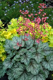 But the gradual decaying process is also part of the fascination for her. Pin On Pretty Plants And Gardening Tips