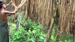 Jute The Golden Fibre Of India Youtube