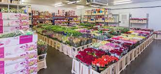 Family owned & operated wholesaler based in santa ana, bringing you high quality floral for 38 over years! Bon Bloemen Wholesale Flowers Plants Sundries In The North East