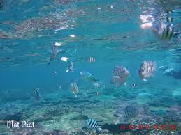 Check spelling or type a new query. Mat Drat Percutian Ke Pulau Tioman Tips Dan Panduan Bercuti