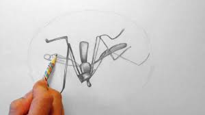 Mucke Zeichnen Im Zeitraffer Mosquito Drawing In Fast Motion Hd Youtube
