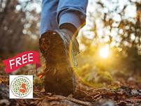 Walking with Trees (June)