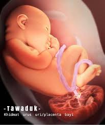 Antara bahan yang diperlukan untuk mencuci uri ialah Khidmat Cuci Tanam Uri Placenta Bayi Babies Kids Maternity Care On Carousell