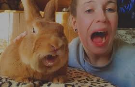 Fox Valley Therapy Rabbits