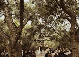Isaiah Taylor Photography Oak Tree Wedding Orange County Oak Tree Wedding Wedding Southern California Orange County Wedding Venues