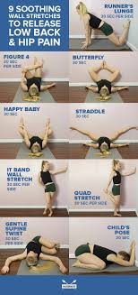 Pin On Lower Back Pain Exercises