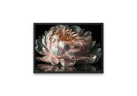 pictura print floare – The Print Studio