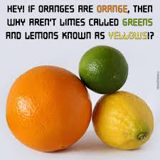 Meme Center Largest Creative Humor Community Oranges Orange Lime
