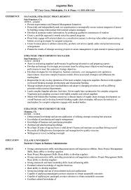 strategic procurement resume samples