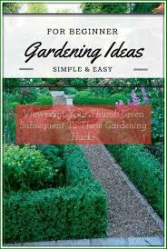 Things That You Need To Know Gardening For Beginners Rachyl Gardening Gardening For Beginners Gardening Tips Beginners