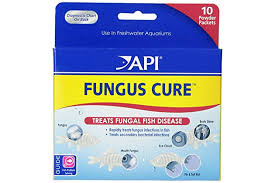 Best Tetracycline For Fish Amazon Com