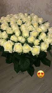 مدونة ليون باقة ورد احمر beautiful rose flowers flower phone wallpaper red roses wallpaper