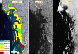 Image result for Rouge Marina 1986 UMM