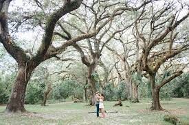 Image Result For Tree Tops Park Engagement Photos Engagement Photos Miami Engagement Photos Park Engagement Photos