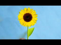 1 lembar kertas origami berwarna cerah (merah, kuning, biru, asalkan jangan hijau karena ini untuk bunga :d) 2 lembar kertas origami berwarna hijau (kalau ada hijau tua dan hijau muda, kalau tidak ada yang penting hijau) kertas origami yang digunakan dalam tutorial ini berukuran 15×15 cm ya. Membuat Bunga Matahari Dari Kertas Youtube