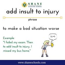 Add Insult To Injury To Make A Bad Situation Worse I Failed My Exam Then To Add Insult To Injury I Missed My Bus Home Shaneenglishschool Shaneenglish Sha