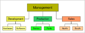 Abundant Organization Flowchart Drawing Organisation Chart