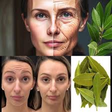 Bay leaf is a million times stronger than Botox and collagen. Removes all  wrinkles and fine lines Must express something to keep getting my recipes  🙏 Full recipe in the first comment 💬👀