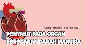 2 sistem peredaran darah home biologi sistem peredaran darah kelas : Soal Essay Tentang Peredaran Darah Pada Manusia Lukisan