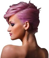 MENOPAUSE: THE MUSICAL (Program Book) by Playhouse Square