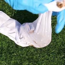 Hi there 👋 I'm in SE Qld, and we've been flooded a few times in the last  few weeks. Noticed today my chooks rolling in the grass trying to have a  dirt