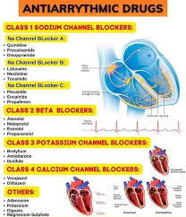 Image result for Sodium Channel Blocker