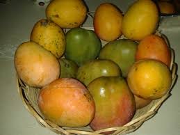 Third World - What You Know About Mangos? Its Mid-Mango Season In Jamaica,  What Type Do You Love To Eat? Blackie, Bastard, Bombay, East Indian,  Graham, Greengage, Haden, Julie Or St. Julien,