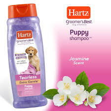 We did not find results for: Hartz Groomer S Best Puppy Shampoo Hartz