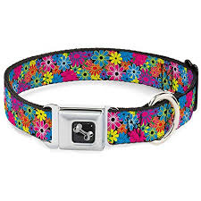 We did not find results for: Our 12 Favorite Flowered Collars For Pretty Pups The Dog People By Rover Com