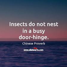 Effective door to door available on alibaba.com can help save on shipping costs. Insects Do Not Nest In A Busy Door Hinge Idlehearts