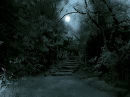 Dark Jungle Google Paieska Night Forest Dark Forest Forest Path