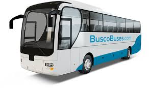 Image result for Bussea