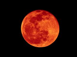 ３年ぶり 皆既月食 生配信見て 満天星 あす夜ユーチューブ. æ—¥é£Ÿ æœˆé£Ÿã®ãµã—ãŽ ã‚­ãƒ¤ãƒŽãƒ³ã‚µã‚¤ã‚¨ãƒ³ã‚¹ãƒ©ãƒœ ã‚­ãƒƒã‚º ã‚­ãƒ¤ãƒŽãƒ³ã‚°ãƒ­ãƒ¼ãƒãƒ«