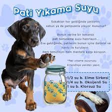 Çünkü elma sirkesinden sonra kuştaki yararlı bakterilerde zarar görebilir. Pati Yikama Suyu Pati Dunyasi