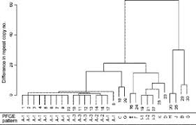 The addition of nan(3) showed a strong protective effect again sdt. Abstracts Cont Clinical Microbiology And Infection